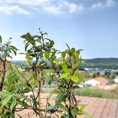 L'Elegante Confort, Clim & Vue Imprenable Bassillac Kültér fotó